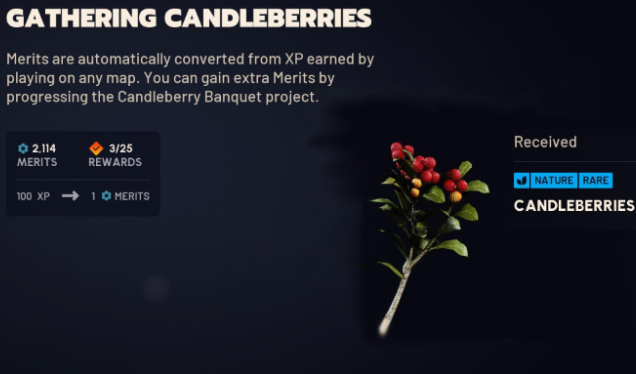 candleberries arc raiders